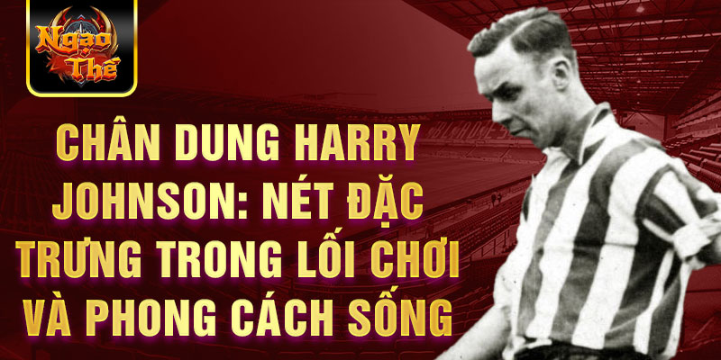 Chân dung harry johnson: nét đặc trưng trong lối chơi và phong cách sống