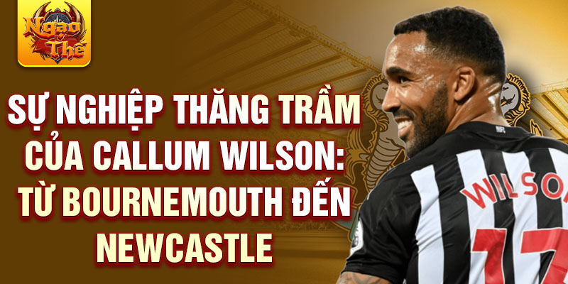 Sự nghiệp thăng trầm của callum wilson: từ bournemouth đến newcastle