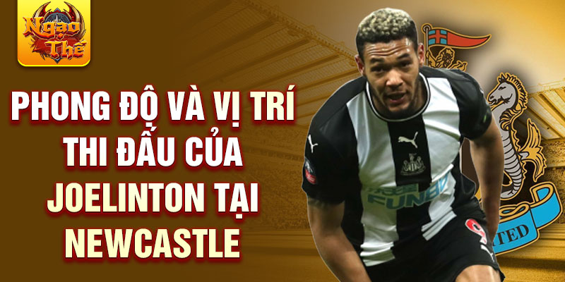 Phong độ và vị trí thi đấu của Joelinton tại Newcastle