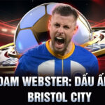 Adam webster: dấu ấn tại bristol city