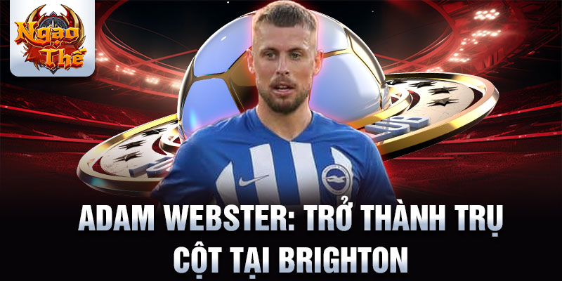 Adam Webster: Trở thành trụ cột tại Brighton